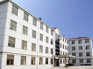 China Machine Tools Co., Ltd.